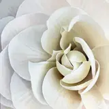 Begonia 36 — original begonia painting in acrylic on canvas by Canadian artist Laurie Koss (Painting)
