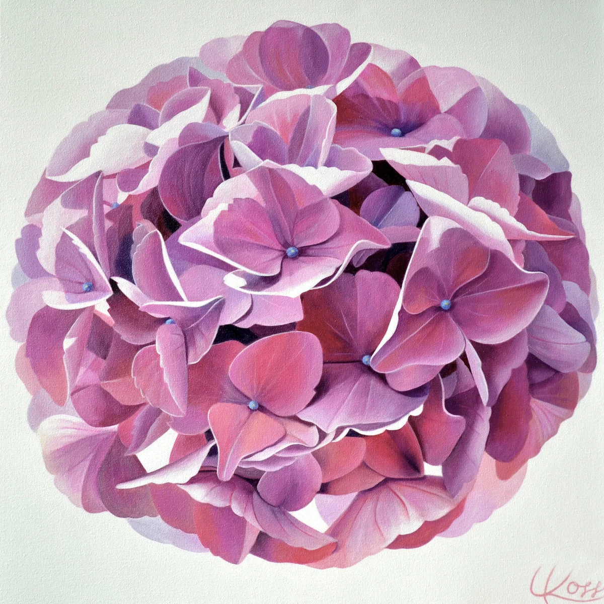 Hydrangea 1 — original hydrangea painting in acrylic on canvas by Canadian artist Laurie Koss