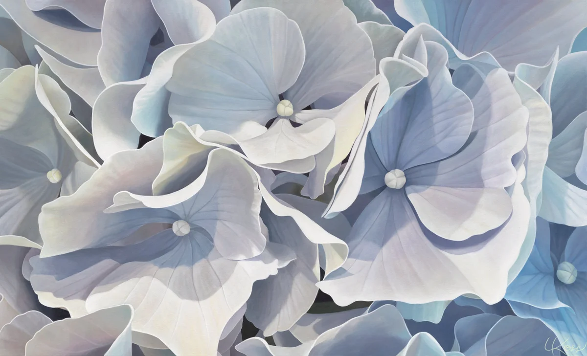 Hydrangea 3 — original hydrangea painting in acrylic on canvas by Canadian artist Laurie Koss