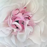 Ranunculus 1 — original ranunculus painting in acrylic on canvas by Canadian artist Laurie Koss (Painting)